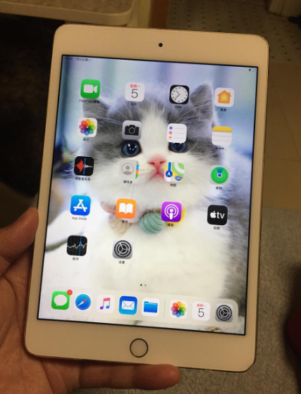 ipad mini4 128g 转让