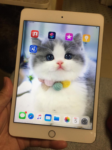 ipad mini4 128g 转让